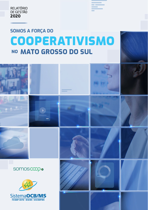 Relatório de Gestão - 2020